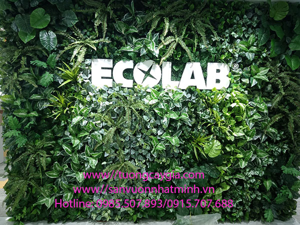 Thi công vách tường cây nhân tạo cho văn phòng Công ty ECOLAB - Tp HCM