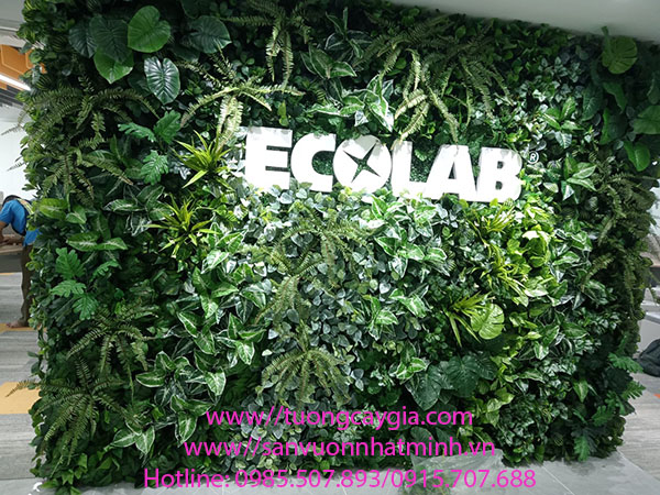 Thi công vách tường cây nhân tạo cho văn phòng Công ty ECOLAB - Tp HCM