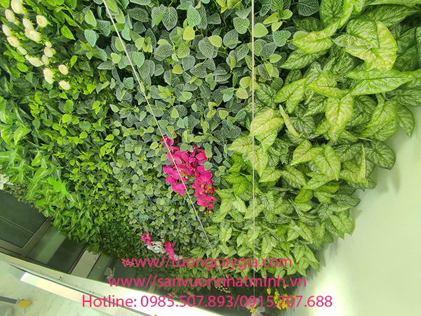 Tường cây giả tại khu giếng trời nhà anh Hồng- BT8 Văn Quán - Hà Đông - Hà Nội