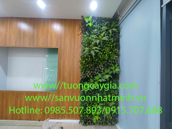 Thi công vách tường cây tại văn phòng giá tốt nhất Hà Nội