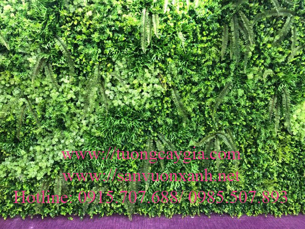 Tường rong rêu giả tại Khách sạn Horizon - 40 Cát Linh - Đống Đa - Hà Nội