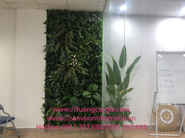 Trang trí và lắp đặt vách tường cây văn phòng tại Hà Nội