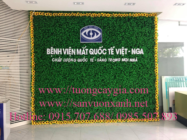 Trang trí lắp đặt tường cỏ giả tại Bệnh viện mắt quốc tế Việt - Nga