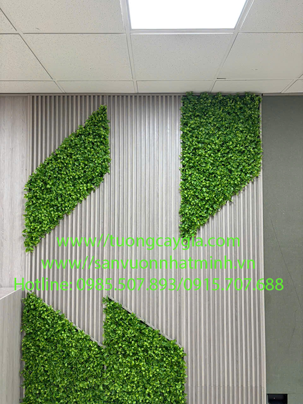 Thi công tường cỏ lá chè xanh mướt cho không gian văn phòng tòa nhà Mipec - Tây Sơn - Hà Nội