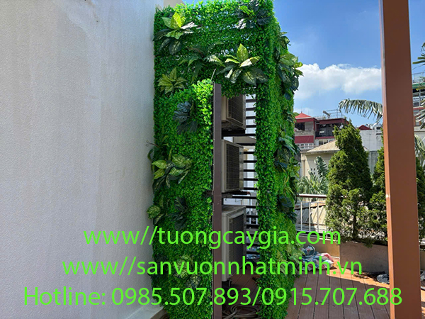 Thi công, lắp đặt tường cỏ xung quanh cục nóng điều hòa tòa nhà tại 254 Thụy Khuê - Hà Nội