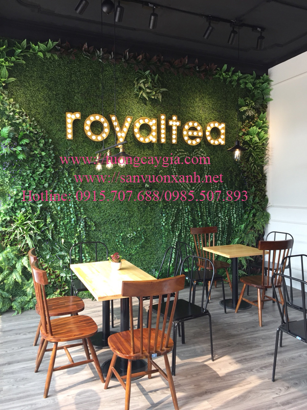 Trà sữa Royaltea trang trí mảng tường cỏ cây