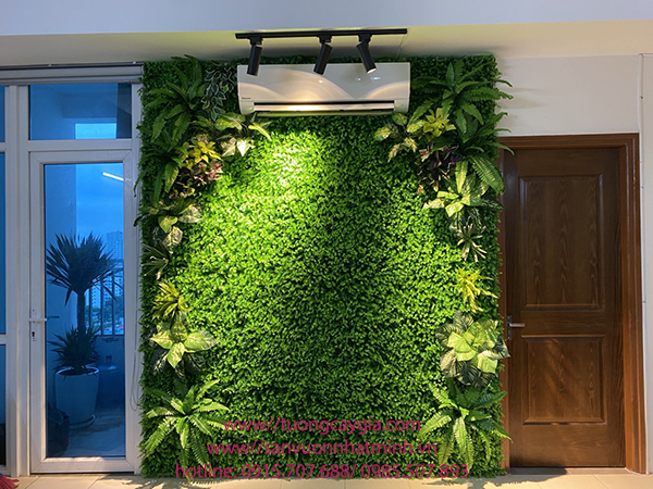 Trang trí lắp đặt tường cỏ giả tại Bệnh viện mắt quốc tế Việt - Nga Tường cây giả Nhật Minh Trang Trí Lắp Đặt Tường Cỏ Giả Tại Bệnh Viện Mắt Quốc Tế Việt - Nga Tường Cây Giả Nhật Minh
