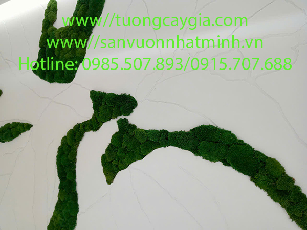 Khung tranh rêu nghệ thuật tại dự án Shinwa tòa nhà Sheraton Tower Tp HCM