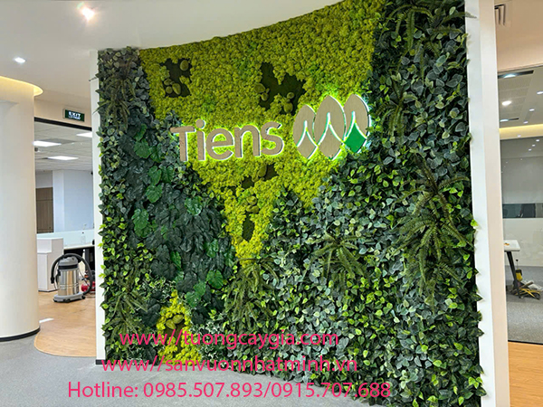 Thi công tường rêu tuần lộc tại công ty TIENS tầng 5 tòa nhà Mac Plaza số 10 Trần Phú - Hà Đông - Hà Nội