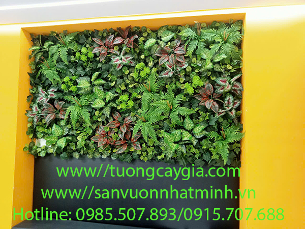 Thi công vách tường cây tại văn phòng công ty Starworld đường 13 Hữu Thọ, khu dân cư Kim Sơn, quận 7, Tp HCM