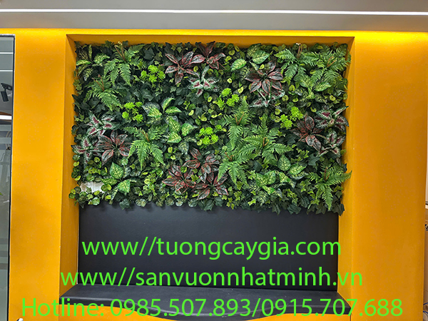 Thi công vách tường cây tại văn phòng công ty Starworld đường 13 Hữu Thọ, khu dân cư Kim Sơn, quận 7, Tp HCM