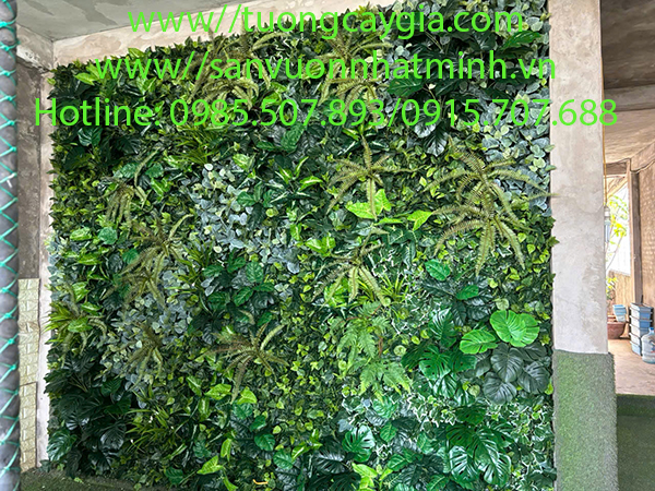 Thi công vách tường cây tại tầng thượng số nhà 371 Thụy Khuê Hà Nội