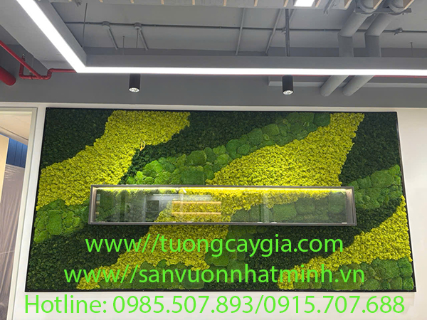 Rêu tuần lộc - đẹp bền chất lượng theo thời gian