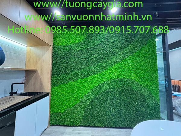 Decor vách tường rêu Tuần lộc tại 36 Cát Linh - Hà Nội