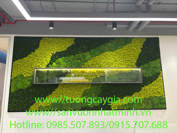 Rêu tuần lộc - đẹp bền chất lượng theo thời gian