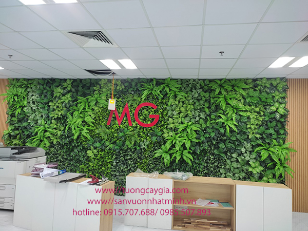 Thi công tường cây nhân tạo tại Công ty MG - Hải Dương