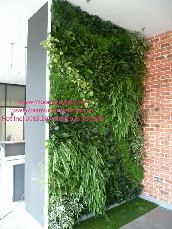 Lắp đặt vách tường cây lá kim tại quận 3 Tp Hồ Chí Minh