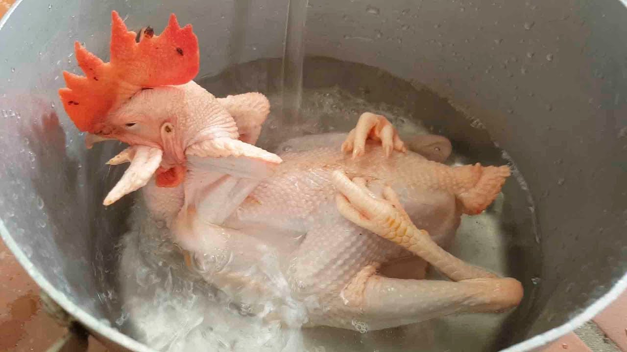 Gà cúng lễ