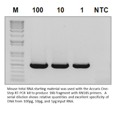Bộ kit One-Step RT-PCR, Model: PR1100, Hãng: Accuris-Benchmark
