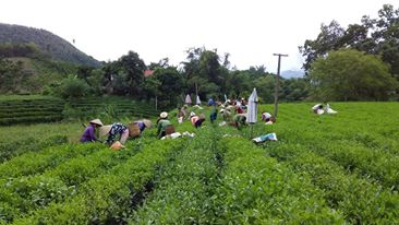 kinh-nghiem-cach-lam-che-sach-va-an-toan-theo-tieu-chuan-vietgap-p1-trong-cham-s