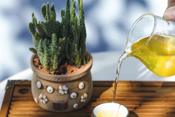 Giới thiệu đại lý chè thái nguyên tại Hà Nội - Cheminhdeng