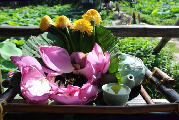 Trà Bông Sen tươi ướp tự nhiên