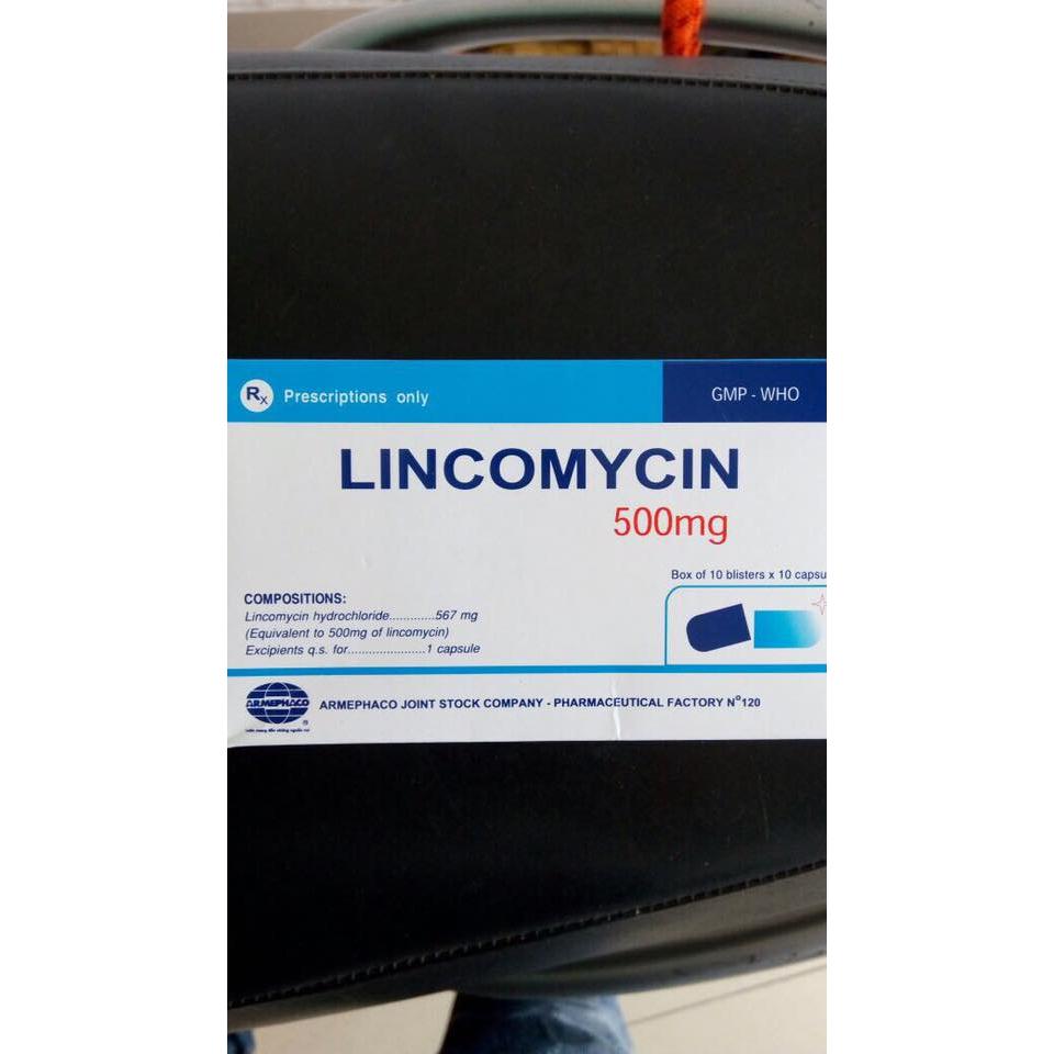 Lincomycin 500mg Armephaco 100 viên