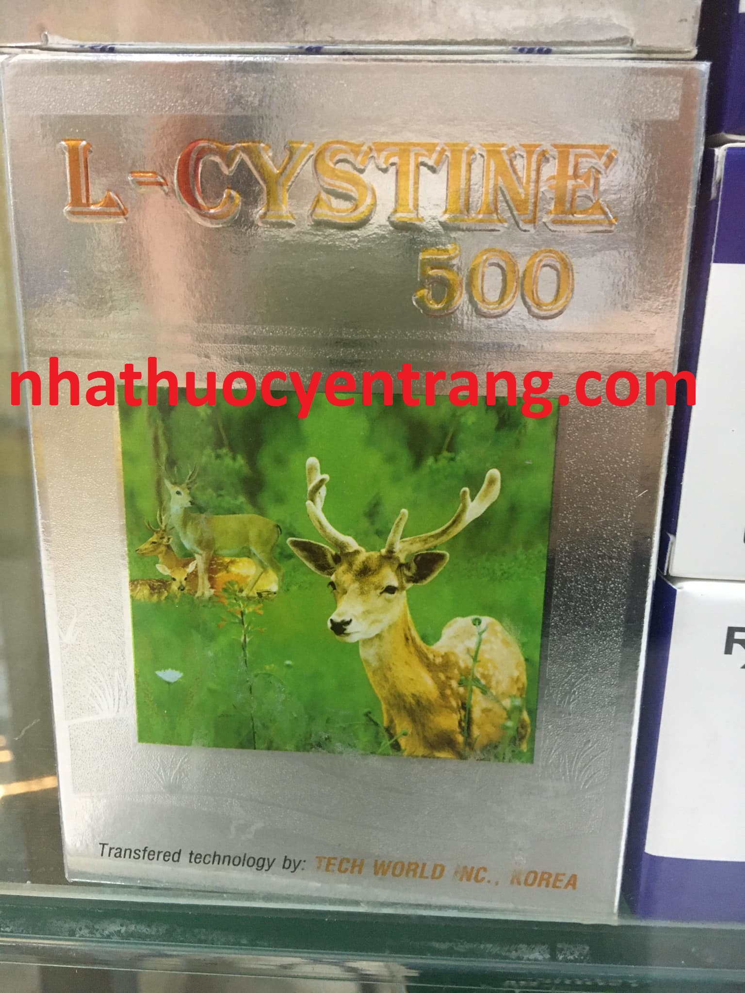 L-Cystine 500