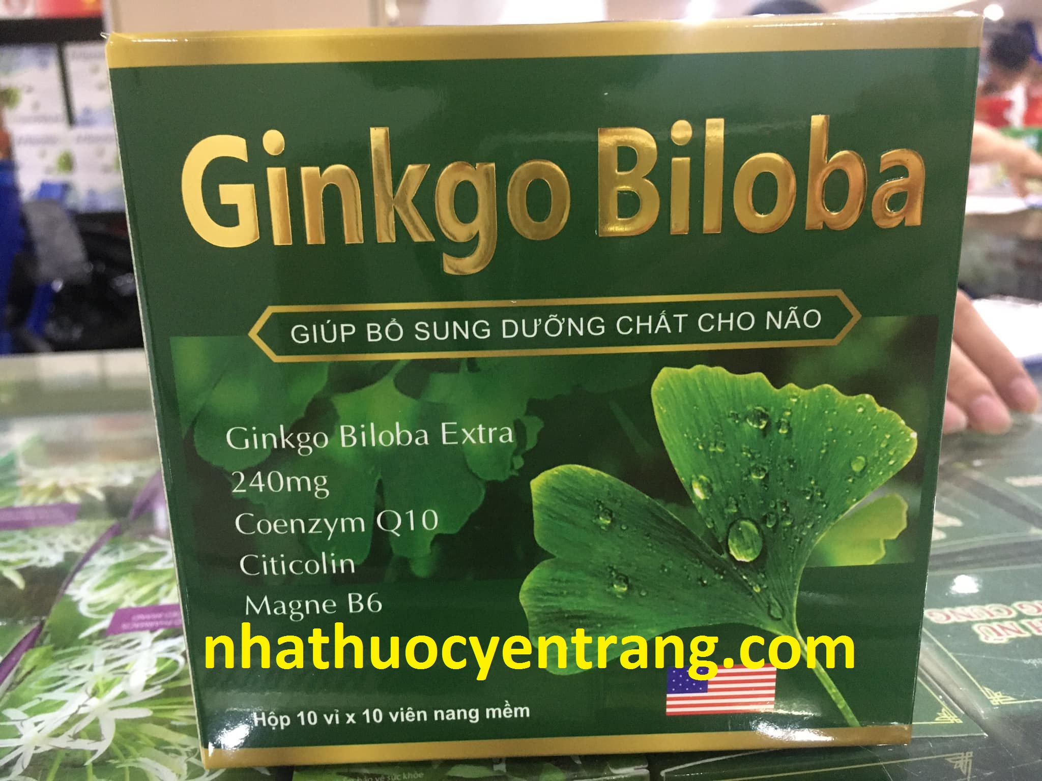 Ginkgo Biloba 240mg