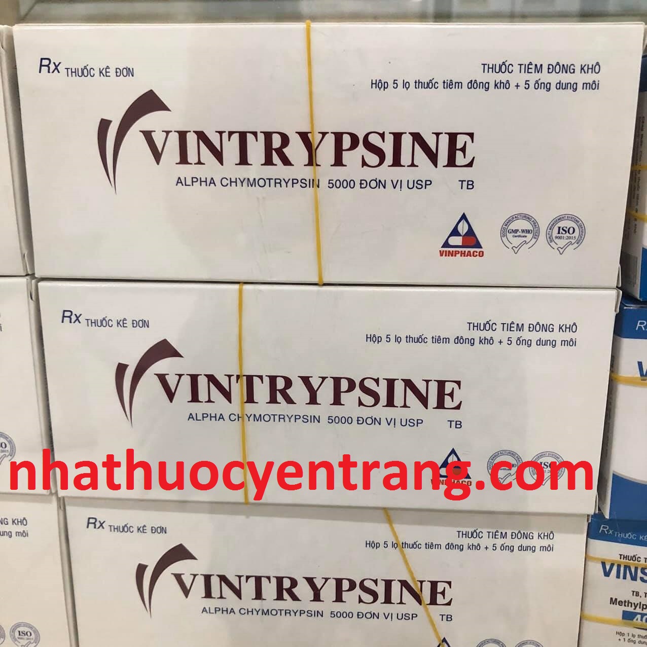 Vintrypsine 5000 IU (5 lọ)