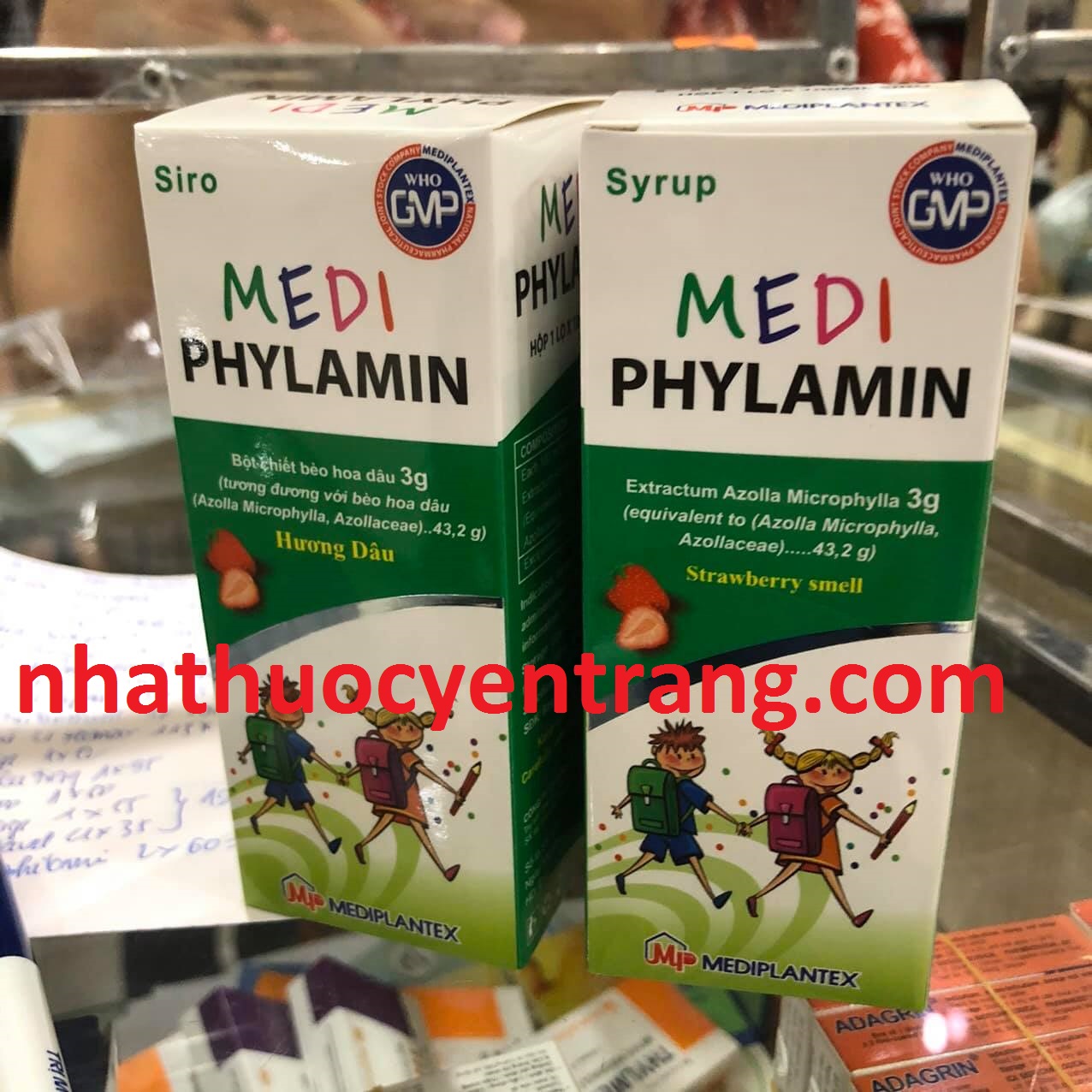 Medi Phylamin 100ml