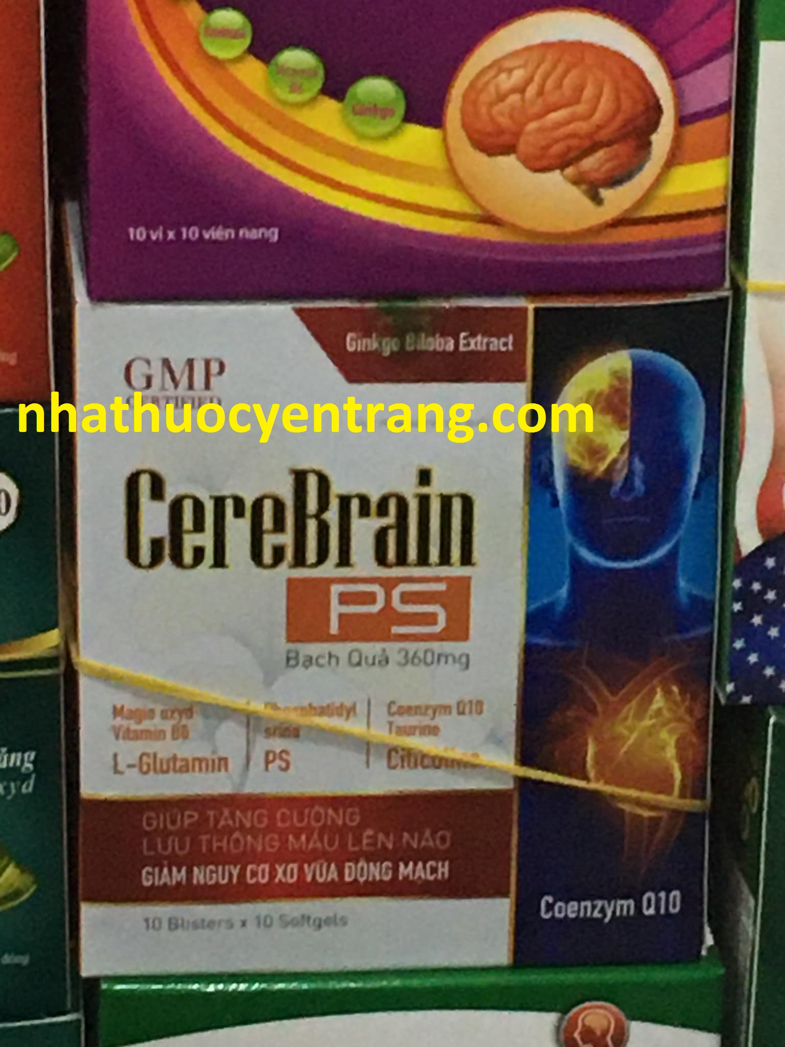 Cerebrain PS