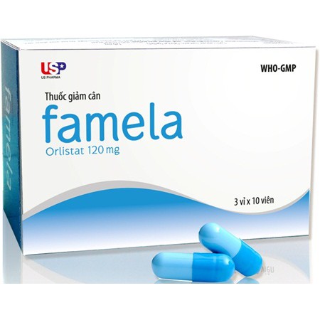 Famela 120mg