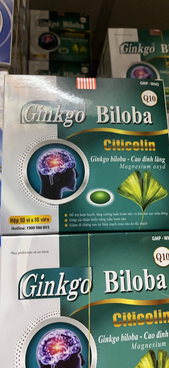 Ginkgo Biloba Citicolin