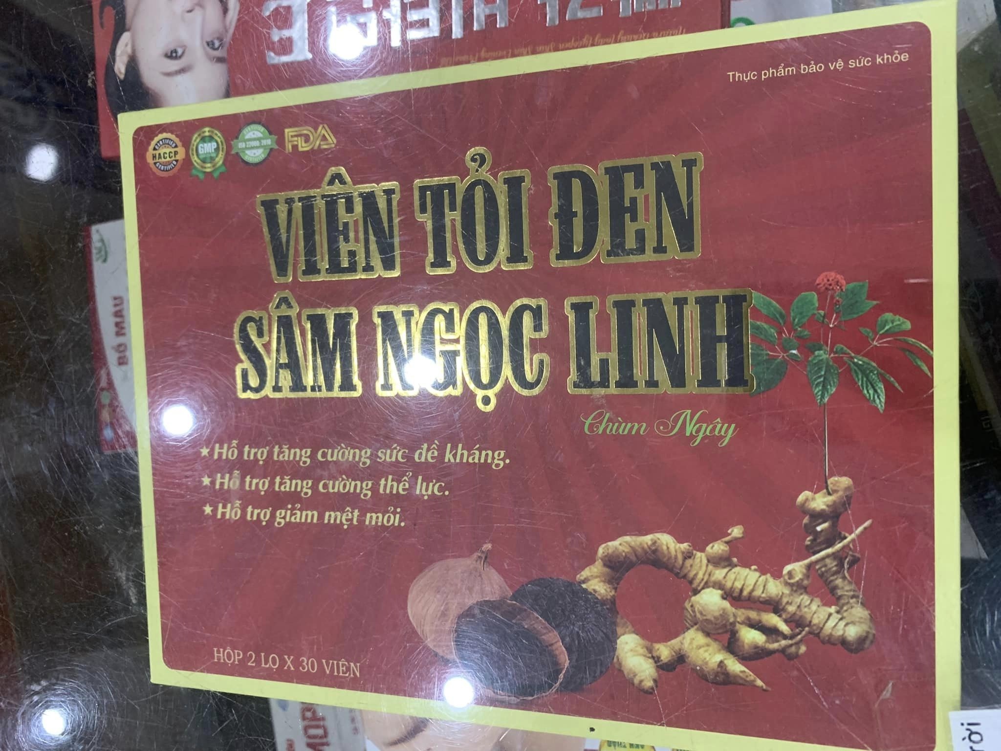 vien-toi-den-sam-ngoc-linh-hop-2-lo