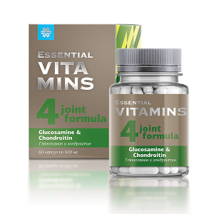 Essential Vitamins Glucosamine & Chondroitin