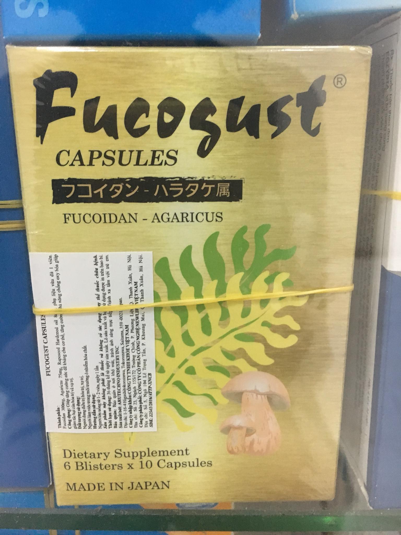 Fucogust viên