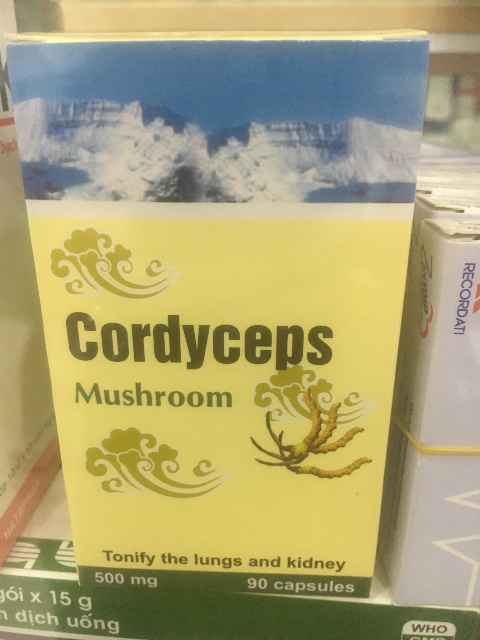 Cordyceps