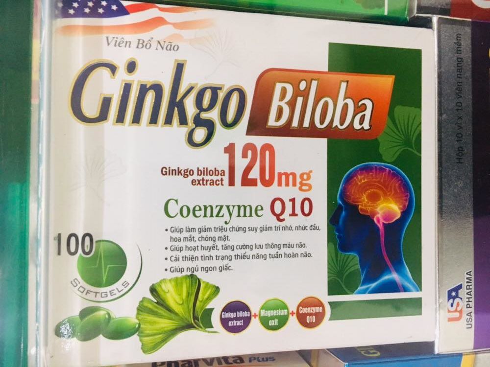 Ginkgo Biloba 1200mg with coenzyme Q10