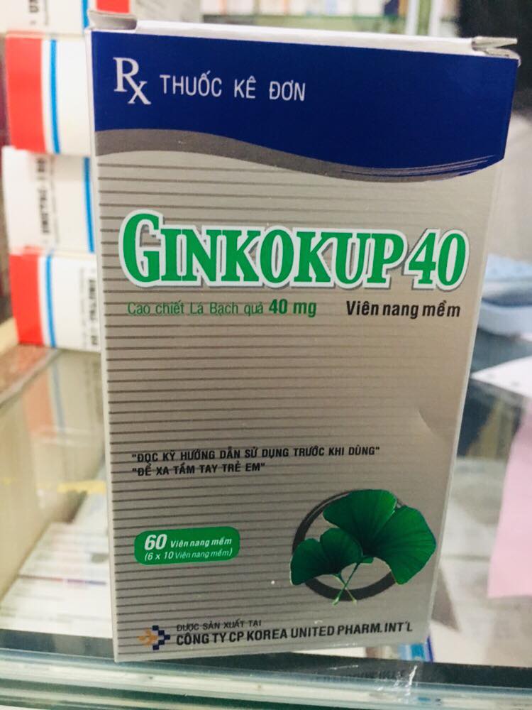 Ginkokup 40mg