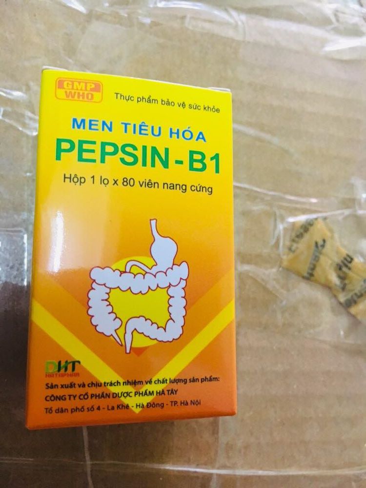 Pepsin B1 Hà Tây