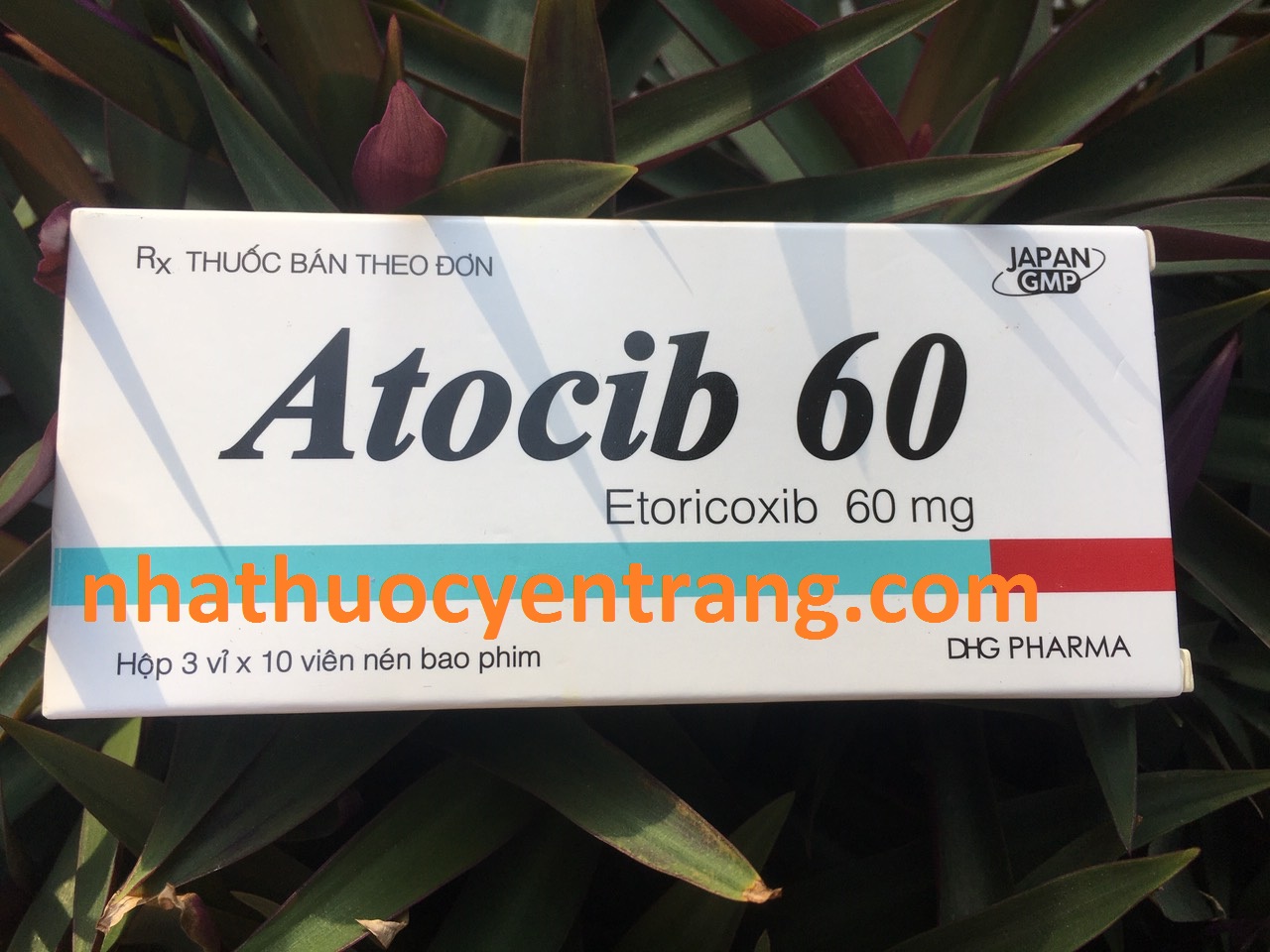 Atocib 60mg