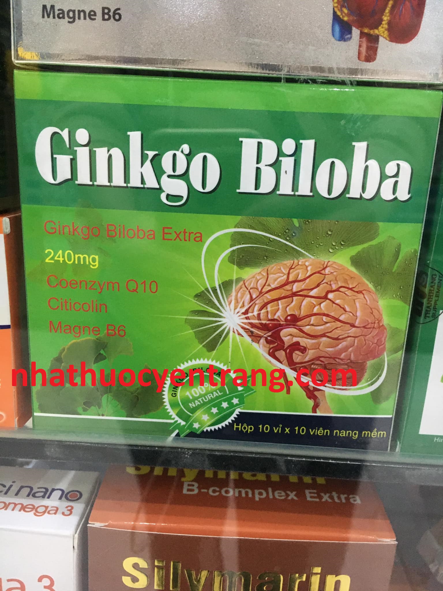 Ginkgo Biloba 240mg
