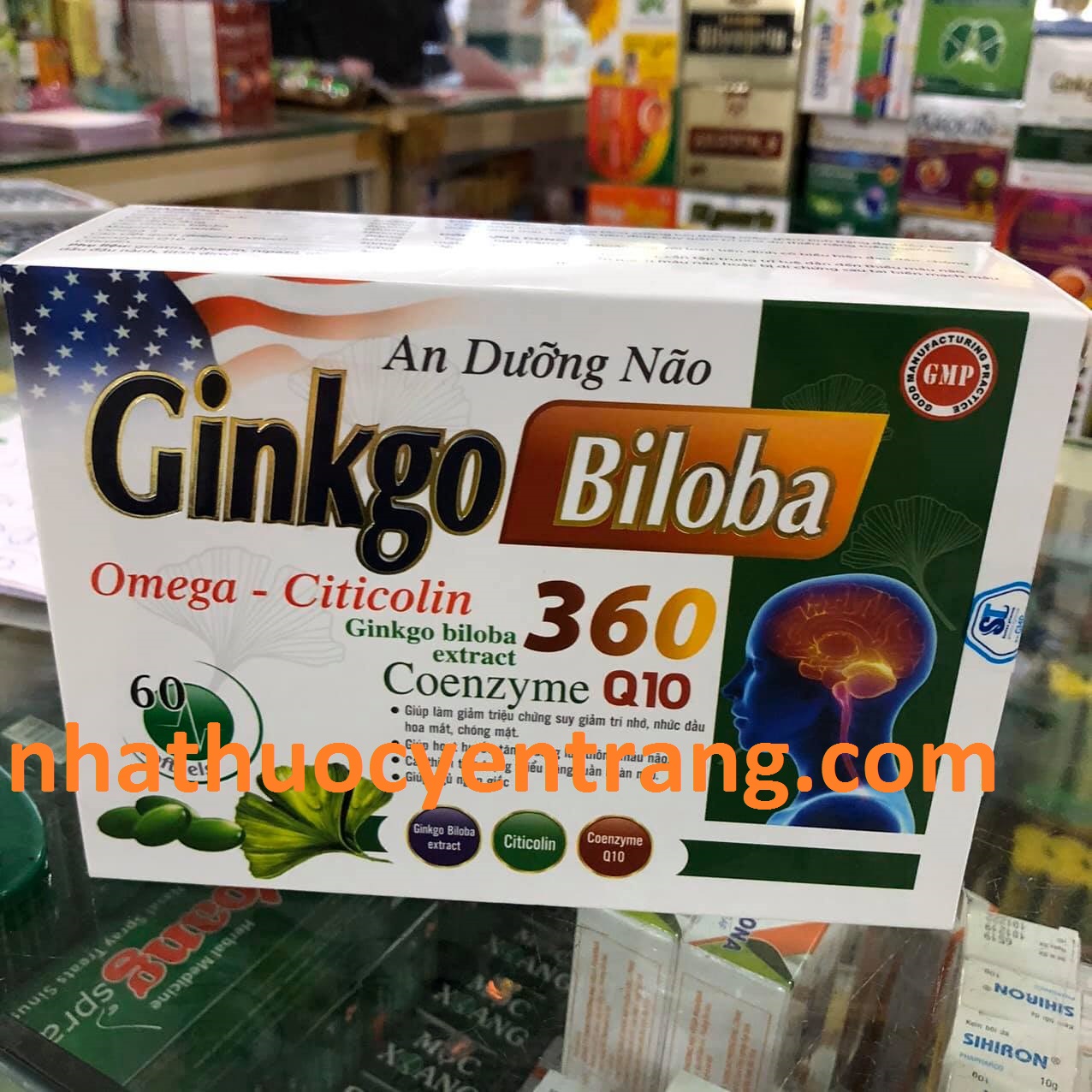 Ginkgo Biloba Omega Citicolin