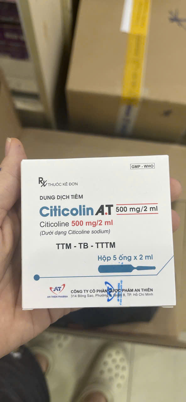 Citicolin A.T 500mg/2ml