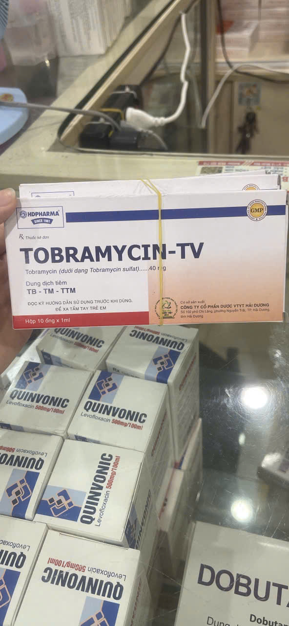 Tobramycin - TV 40mg/ml