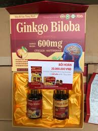 GINKGO BILOBA Cere Brain Max 600mg