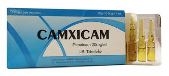 Camxicam