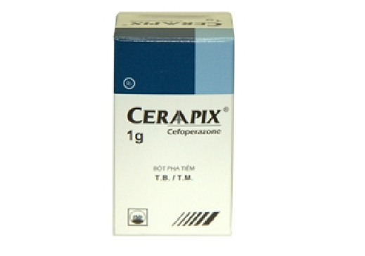 Ceraapix 1g