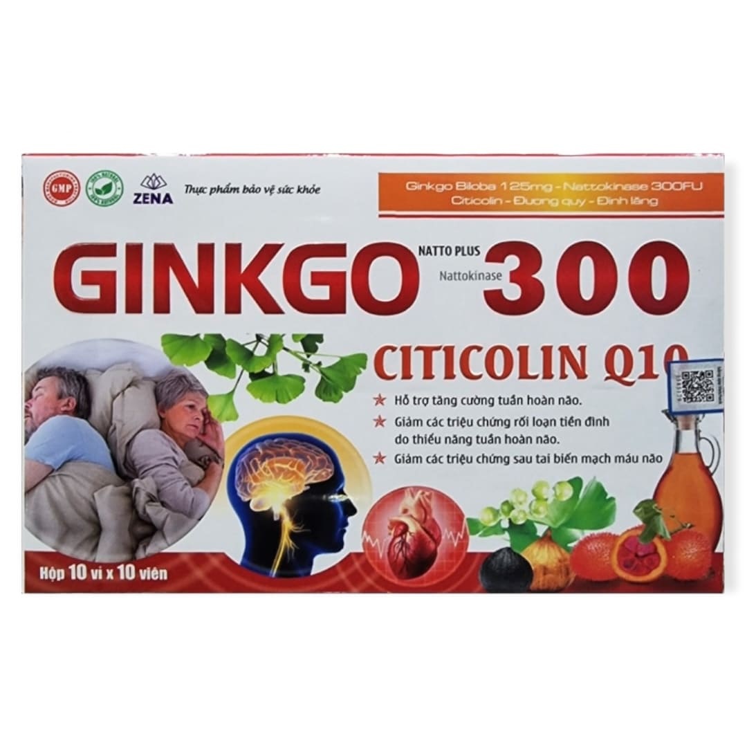 Ginkgo Natto Plus 300 Citicolin Q10